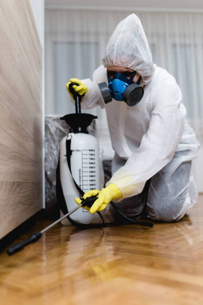 Best Indoor Pest Control  in Rockland, ME